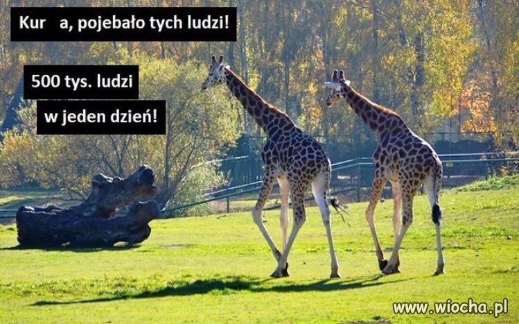 Tymczasem w warszawskim zoo...