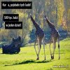 Tymczasem w warszawskim zoo...