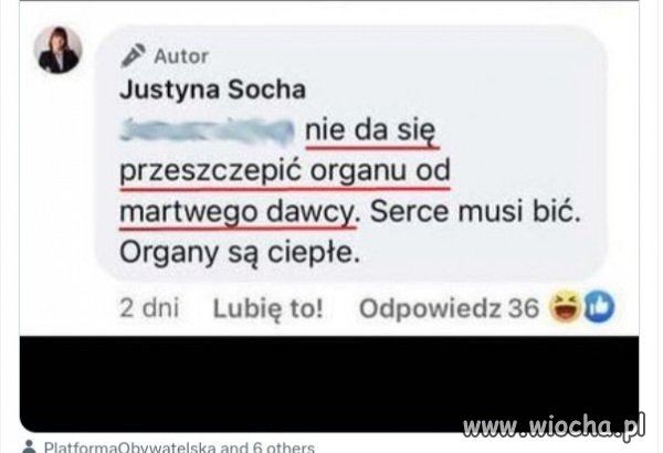 Kandydatka Konfederacji do parlamentu