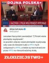 Pisowscy złodzieje