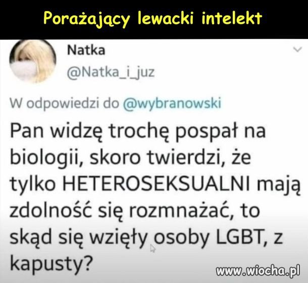 Lewacki intelekt