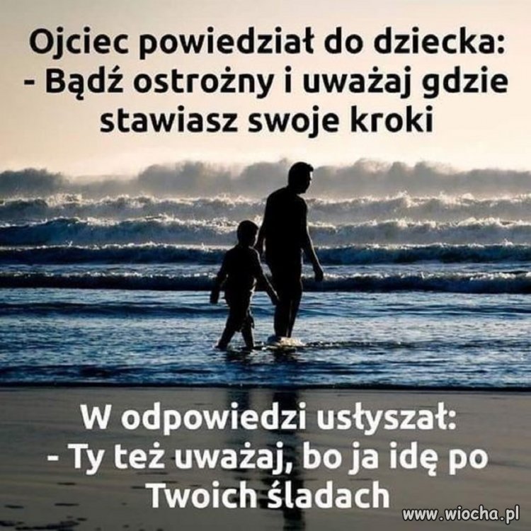 Mądre słowa