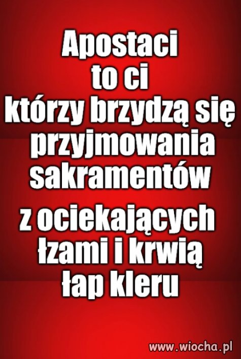 Smakosze, jak co niedziela, siedzą już w wyszynku.