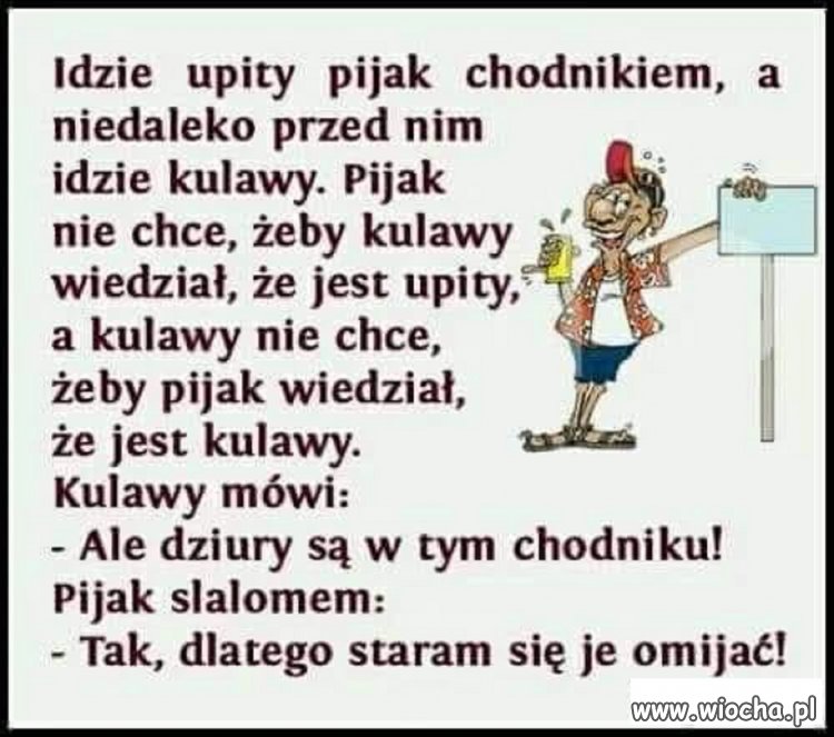 Dowcipnisie