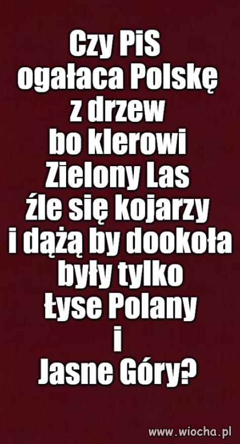 Kolega pytał