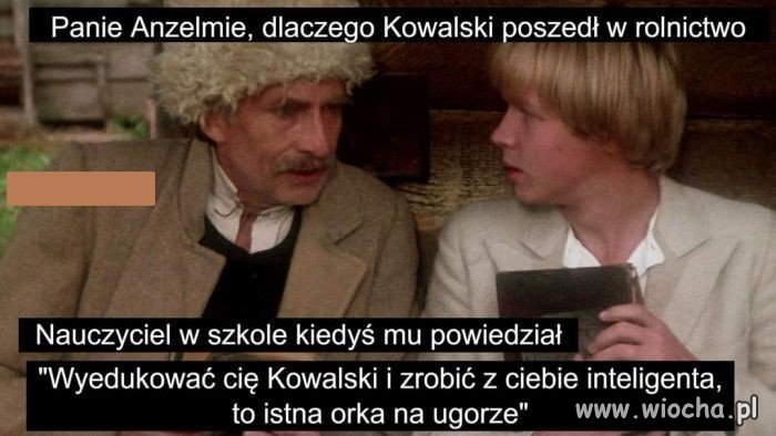 Ta ścieżka kariery 