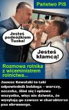 Kultura
