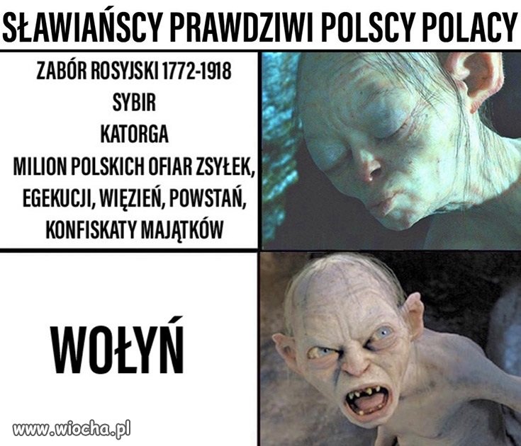 Tak to wygląda