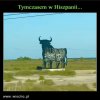 PiS juz znany w Europie...Jestescie dumni?