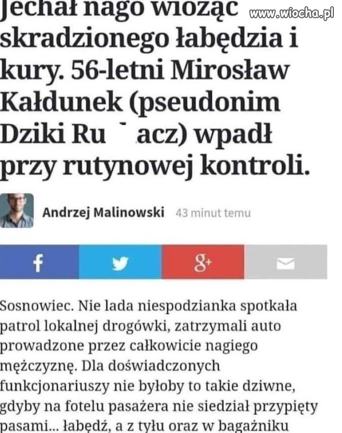 Dzień jak co dzień