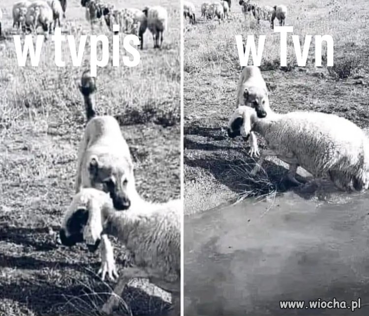 Zawsze patrz szerzej