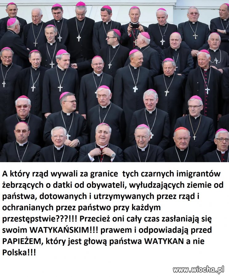 Imigranci 
