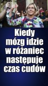 Zombiaczki krzyżaczki