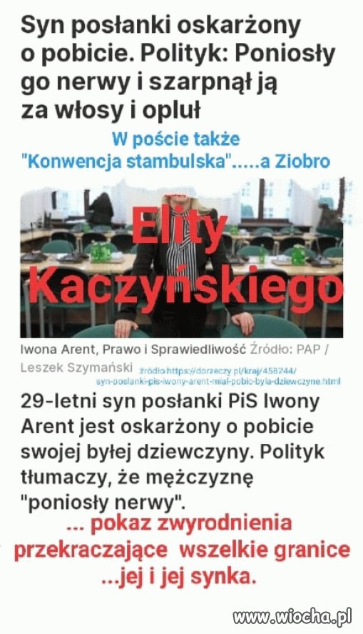 Pisowska patola