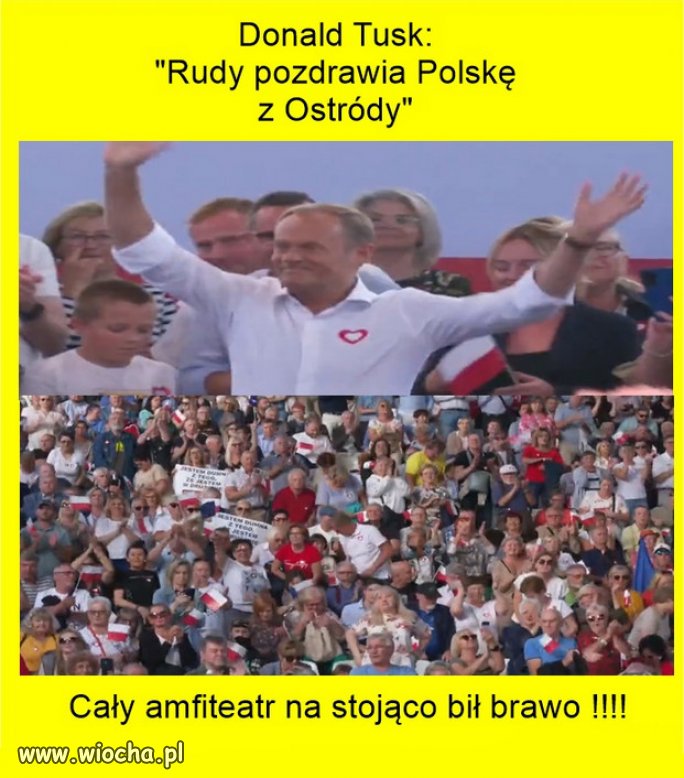 A wszystkiemu winny rudy Tusk...