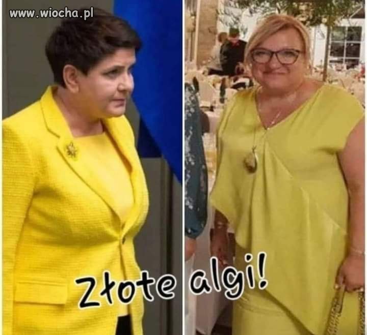 Tłuste koty