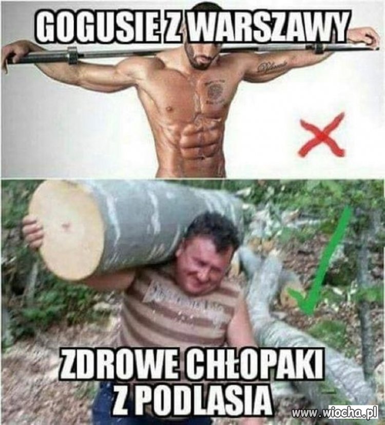 Wybierz mądrze