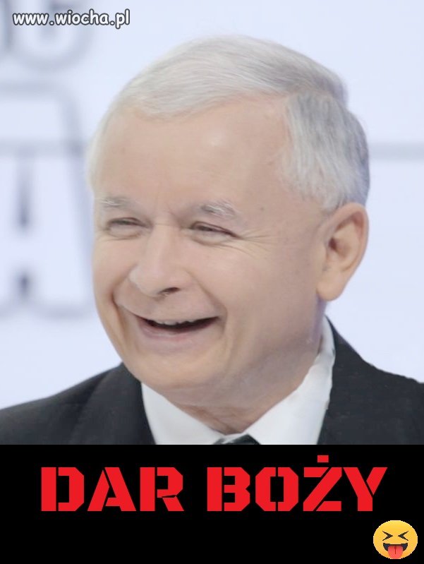 Elektorat tak go widzi