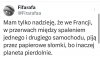 Papierowe słomki