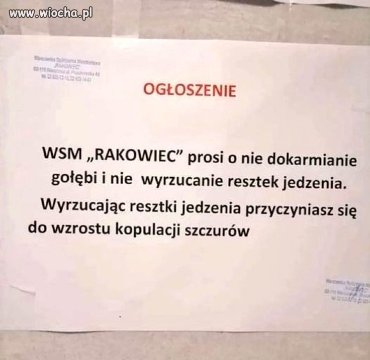 Apel. Tylko o co w nim w końcu chodzi?
