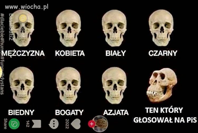 Ewolucja 
