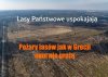 Nie ma co się palić