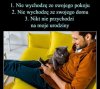 Kogoś mi to przypomina 
