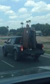 Profesjonalny transport