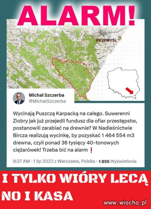 Rżną aż miło