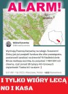 Rżną aż miło