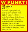 Nic dodać, nic ująć