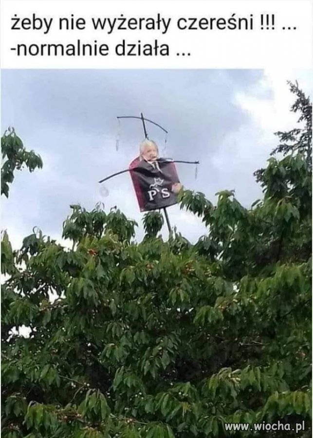 Nie wierzyłem