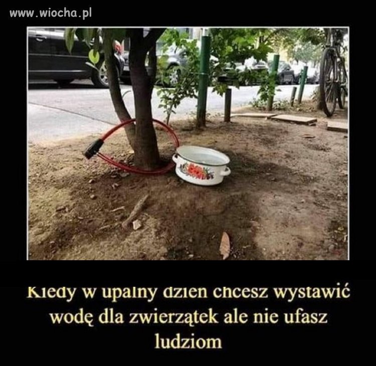 I to jest przykre