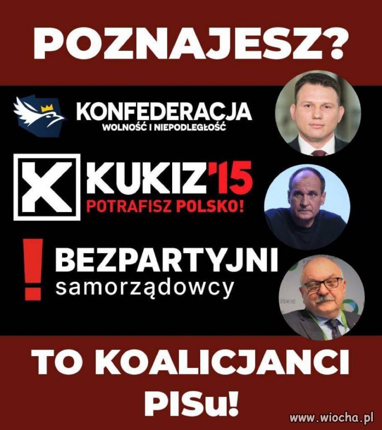 To tałatajstwo zaistniało przez Pawelka i łeb podnosi