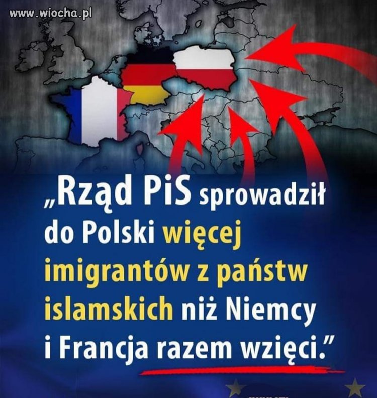 Bo ZUS potrzebuje 2 mln imigrantów?