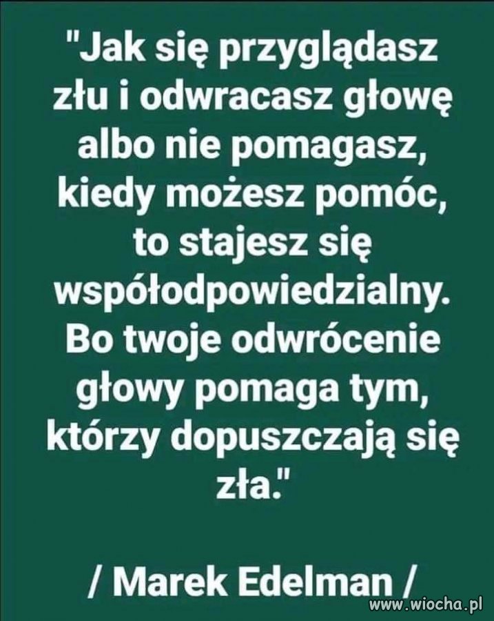 Tylko to tu zostawię