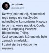 Czy nie uważacie, ze PiS zrobił z Polski dom wariatów?