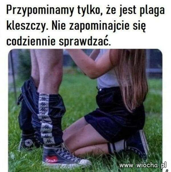 Uważajcie na kleszcze 🤣🤣🤣