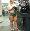 Foki wypełzły na ląd 