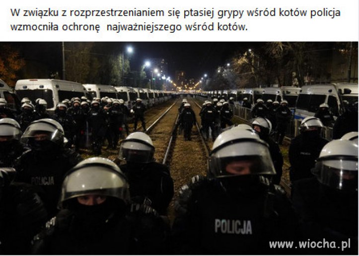 Tłuste koty Kaczyńskiego w panice...
