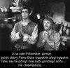 Bo my już swoje odcierpieli