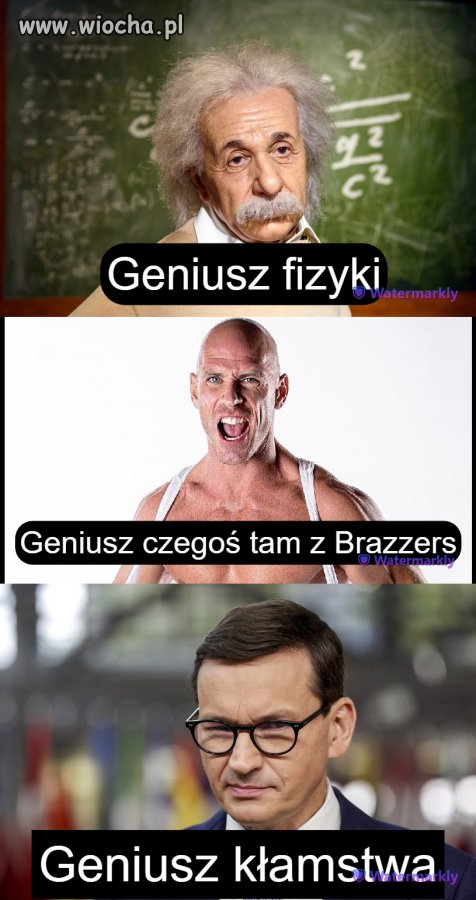 Geniusze!!!