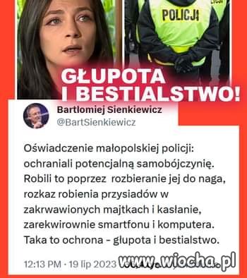Pisowska milicja