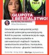Pisowska milicja