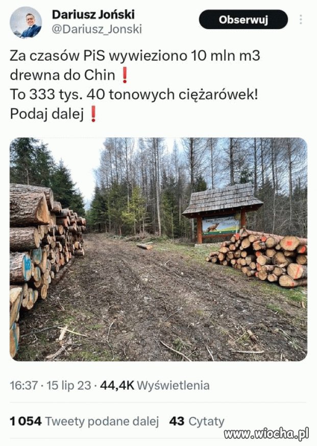 Dewastacja lasów trwa