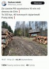 Dewastacja lasów trwa