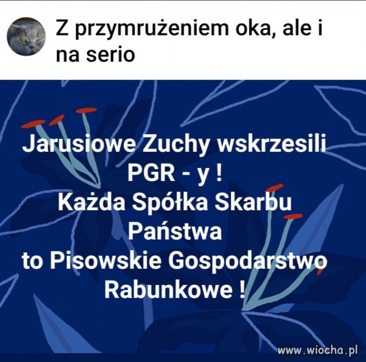 Coś w tym jest prawdy