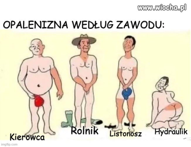Ciekawe, którą część ciała