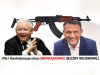 PiS i Konfederacja 