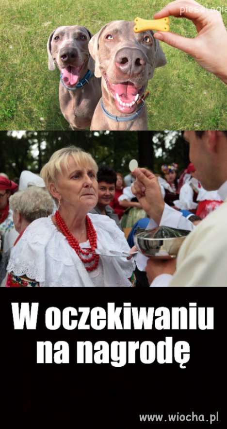 Zauważyliście jak im oczy błyszczą?